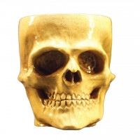 Чаша Ceramister Skull