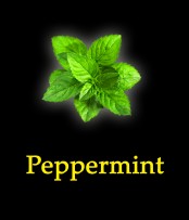 Табак New Yorker (средняя крепость) - Peppermint (Перечная мята) 100 гр