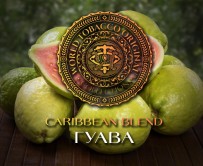 Табак WTO - Caribbean Blend (Гуава) 20 гр