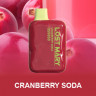 Одноразовая электронная сигарета Lost Mary OS 4000 - Cranberry Soda (Клюквенная Сода)