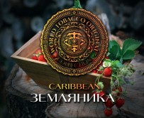 Табак WTO - Caribbean Blend (Земляника) 200 гр