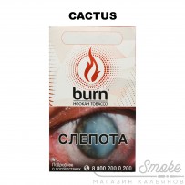 Табак Burn - Cactus (Кактус) 100 гр