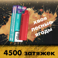 Одноразовая электронная сигарета Ashka Mars 4500 - Fir With Berries (Хвоя и Ягоды)
