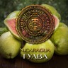 Табак WTO - Nicaragua (Гуава) 20 гр