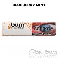Табак Burn - Blueberry Mint (Черника с мятой) 20 гр