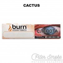 Табак Burn - Cactus (Кактус) 20 гр