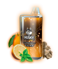 Одноразовая электронная сигарета Husky CYBER (8000) - CITRUS DAYS (Апельсин, Лимон, Мята, Лед )
