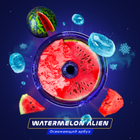 Паста для кальяна Space Smoke - Watermelon Alien (Арбуз с мятой) 30 гр