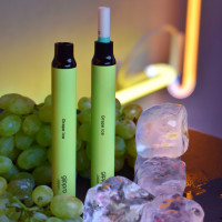 Одноразовая электронная сигарета Gippro Neo СТИК - Grape ICE (Виноград лед)