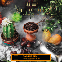 Табак Element Земля - Cactus Fig (Кактусовый Финик) 25 гр