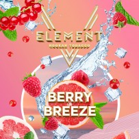 Табак Пятый Element - Berry Breeze (Малина, Смородина, Цитрусы) 25 гр